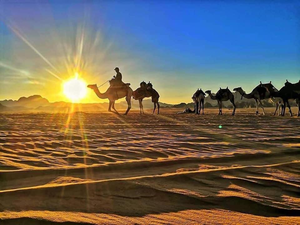 desert stars camp Wadi Rum Exterior foto