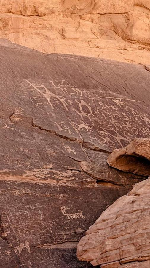 desert stars camp Wadi Rum Exterior foto