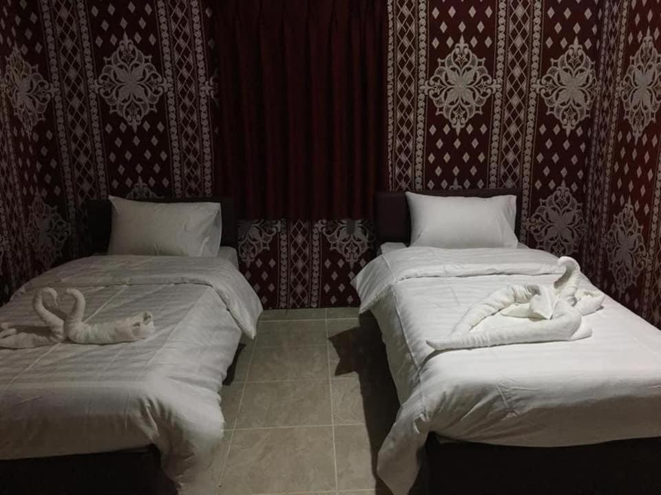 desert stars camp Wadi Rum Exterior foto