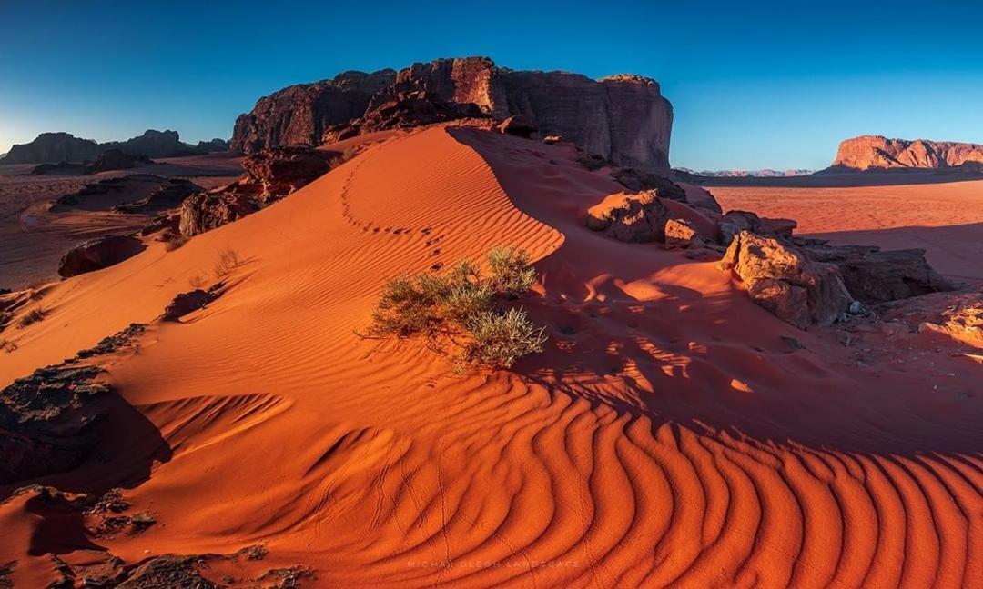 desert stars camp Wadi Rum Exterior foto
